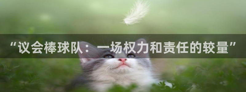 沙巴·体育综合平台官网